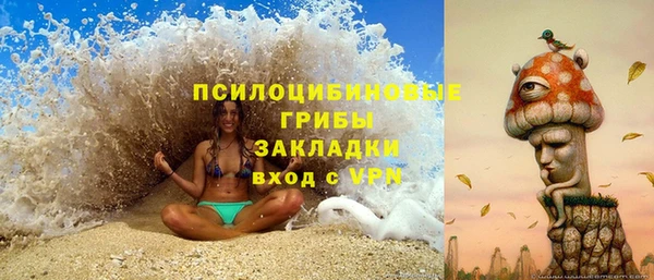 героин Богданович