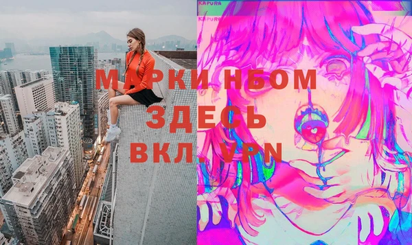 мдпв Богородск