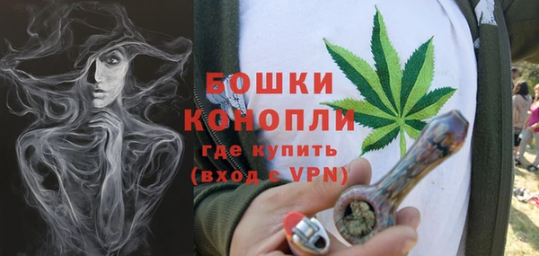 мдпв Богородск