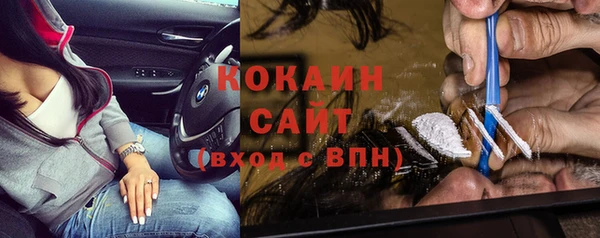 мдпв Богородск