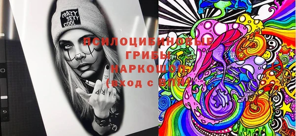 героин Богданович