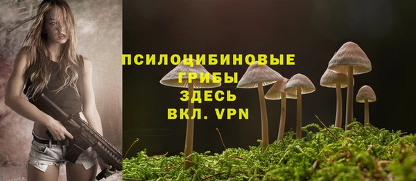 героин Богданович