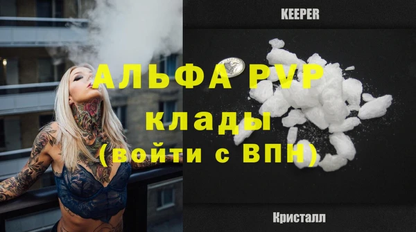 мдпв Богородск