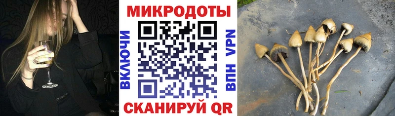 Псилоцибиновые грибы GOLDEN TEACHER  Лыткарино 