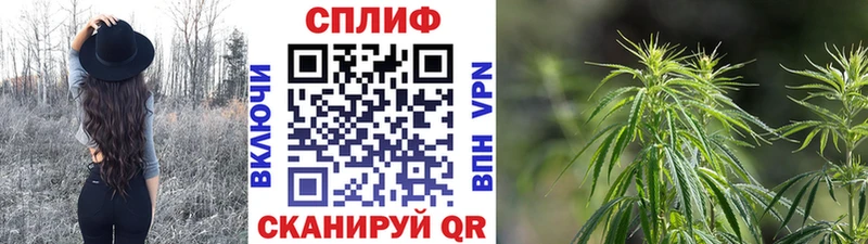 МЕГА сайт  Лыткарино  Бошки марихуана ГИДРОПОН  как найти  
